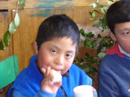 Programa discapacidad