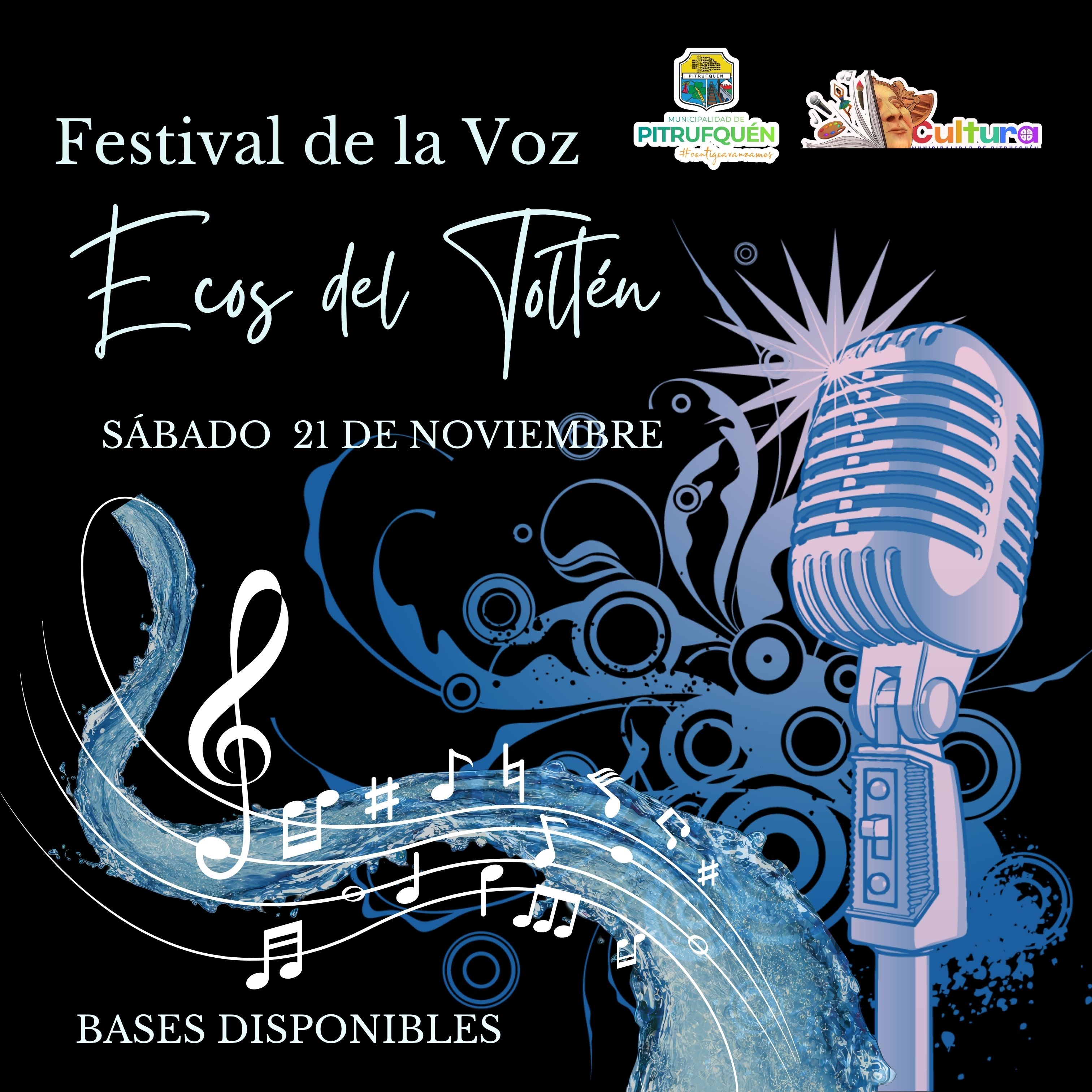Festival de la Voz “Ecos del Toltén”