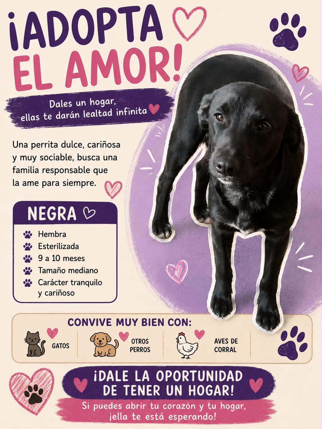 🐾PERRITOS EN ADOPCIÓN. 