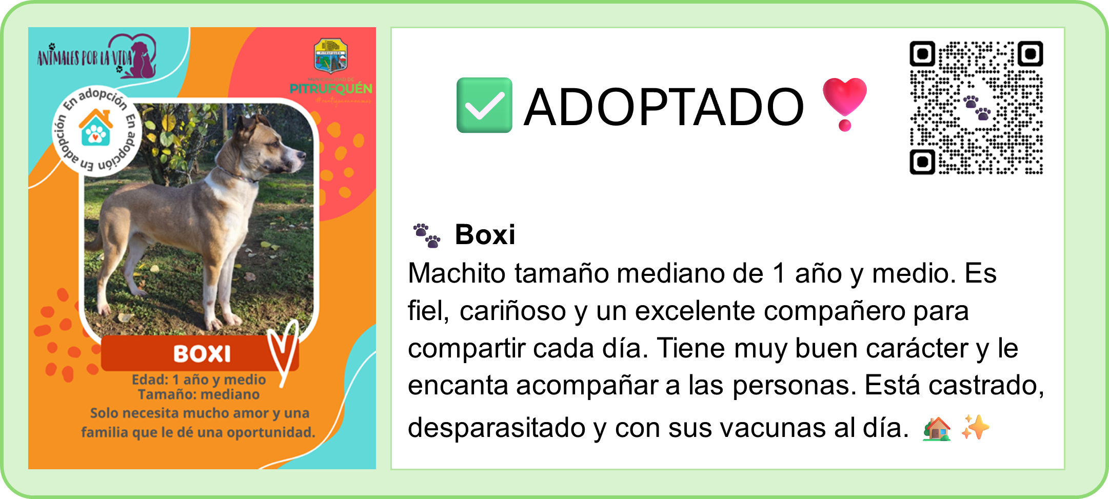 🐾PERRITOS EN ADOPCIÓN. 