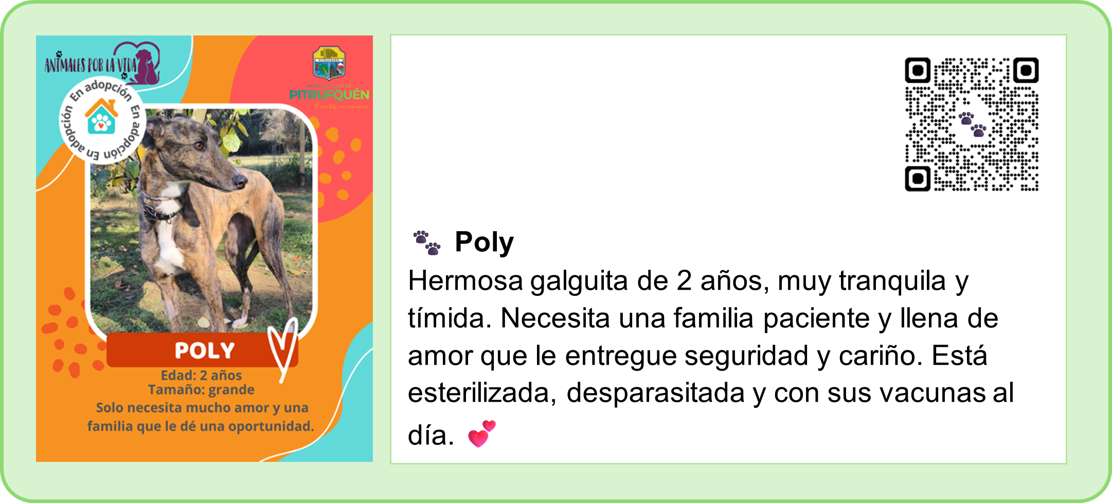 🐾PERRITOS EN ADOPCIÓN. 