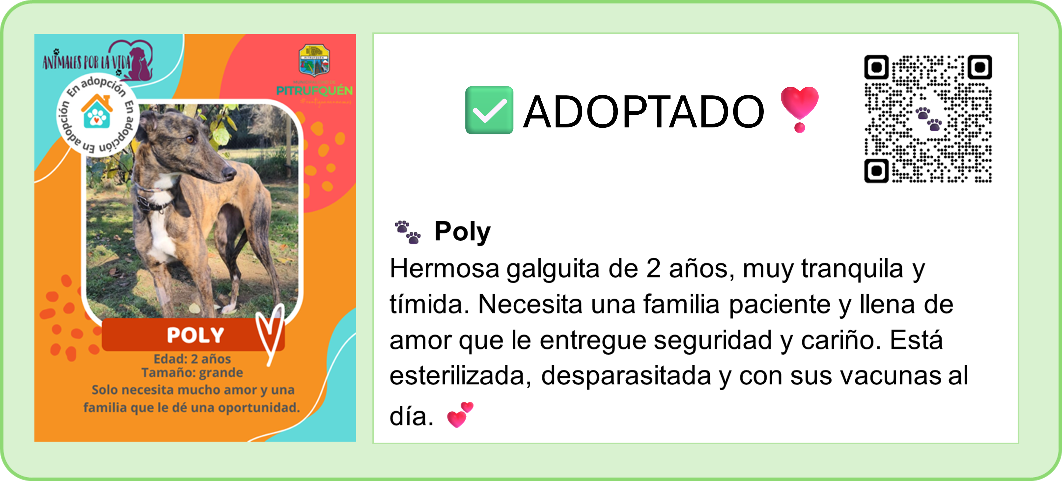 🐾PERRITOS EN ADOPCIÓN. 