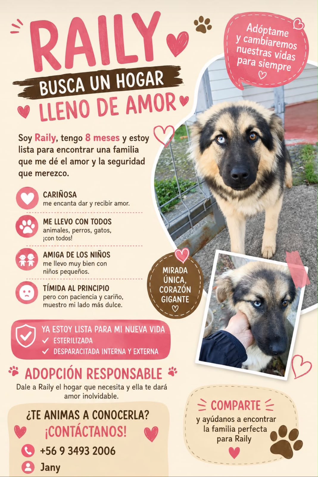 🐾PERRITOS EN ADOPCIÓN. 